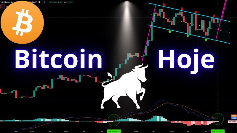 🔊Régis Fagundes BTC [Canal público]