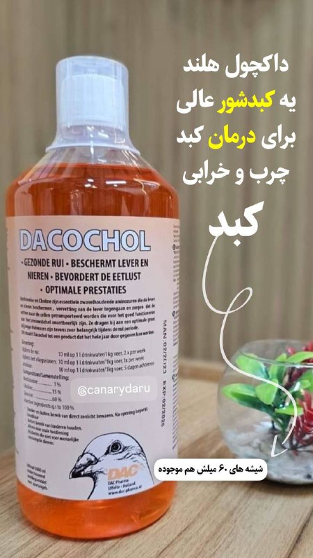 کبدشور قوی و فوق العاده داکچول …