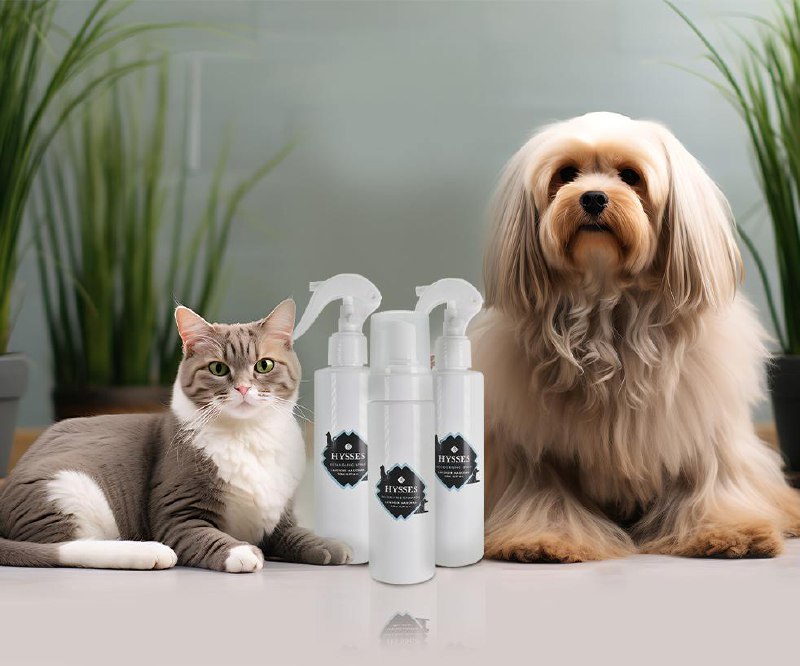 *****🐾*** Pamper Your Pets with HYSSES …