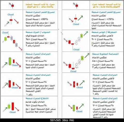 ALQUPTANQ8 القبطان للتعليم 🇰🇼