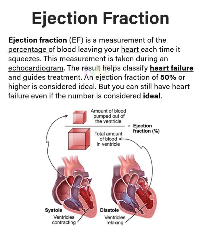 Cardiology