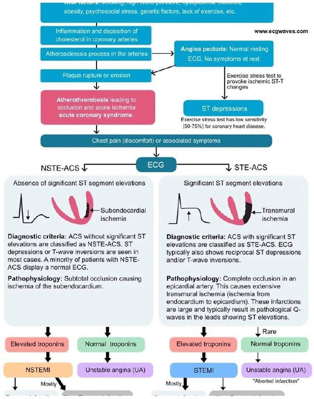 Cardiology