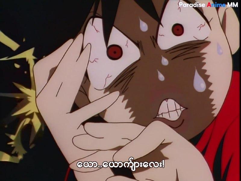 Paradise Anime MM