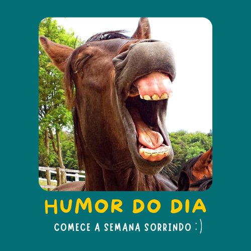 *****🤣*** Humor do Dia ***🤣*****