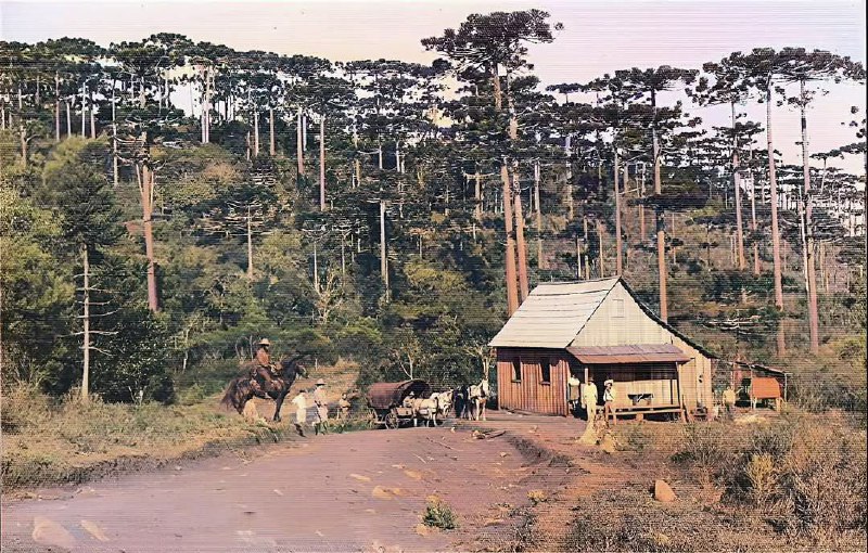 O interior do Paraná na década …