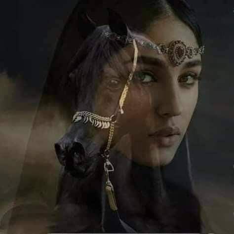 مديت النضر قبلي ادياري..