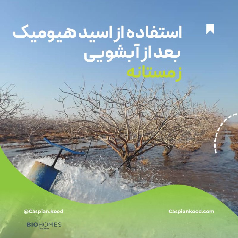 ***❄️*** استفاده از **اسید هیومیک** بعد …
