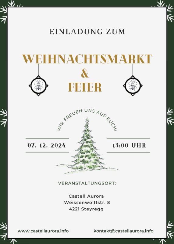 ***🎄*****Weihnachtsmarkt in Steyregg** ***☃️***