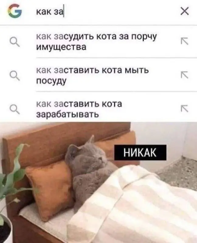 [**Мур-Муррр ***🐈*****](https://t.me/cat_1ove)