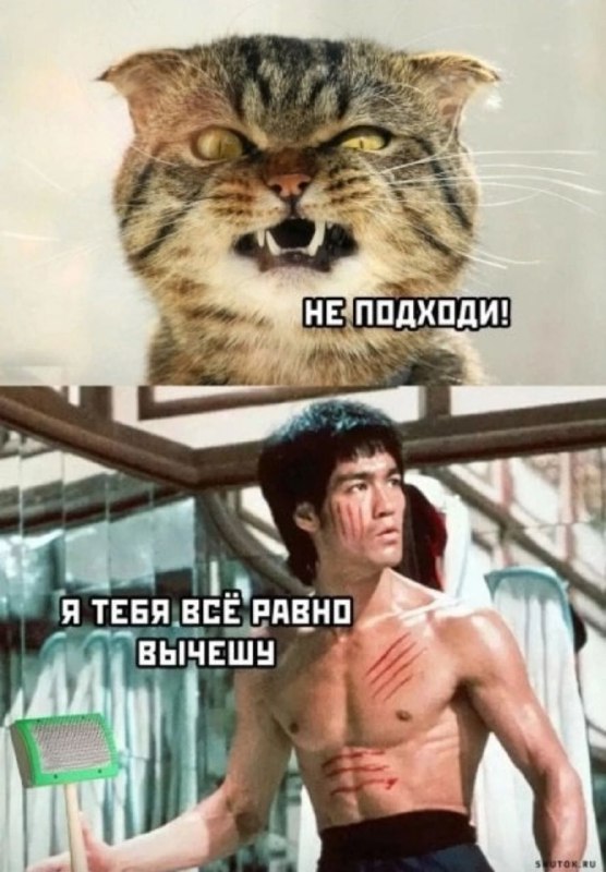 Приют для кошек «Кошачье сердце»🐈 Екатеринбург