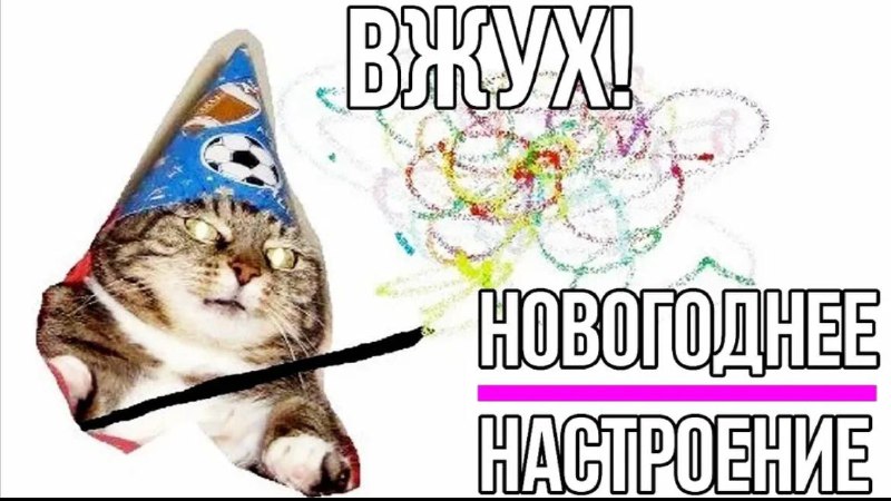 Коты и мемы 🎷🐝