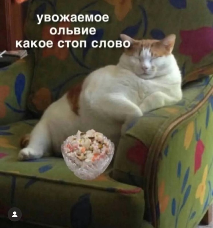 Коты и мемы 🎷🐝