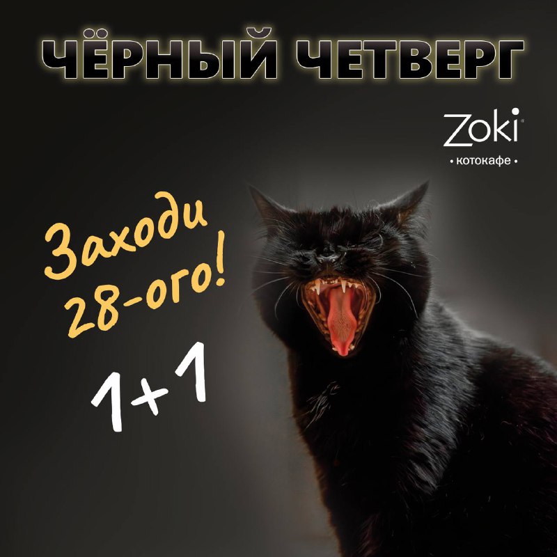 ***⭐️***ЧЕРНЫЙ ЧЕТВЕРГ В ZOKI CAT CAFE***✨***