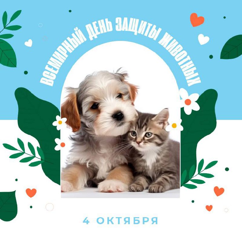 4- октября День защиты животных ***🎉******🎉******🎉*** …