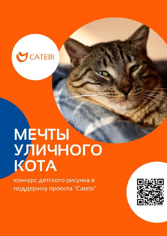 **Мечты уличного кота**