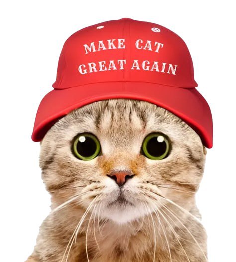 **MAKE CAT GREAT AGAIN -** **$MACA** …