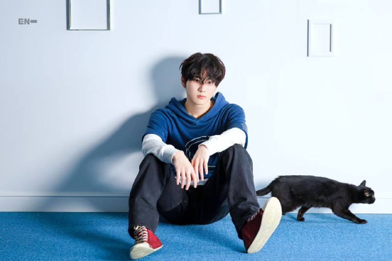 cat (jungwon) lover