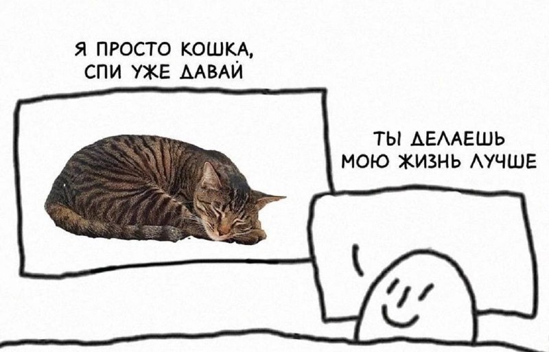 Мемы кота Кокоса