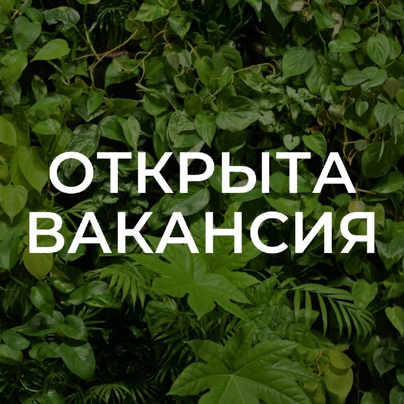 ***⭐️*****Открыта вакансия*****⭐️***