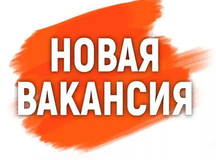 **В СРЕДНЮЮ ОБЩЕОБРАЗОВАТЕЛЬНУЮ ШКОЛУ №9 ИМЕНИ …