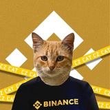 join up [t.me/czcat\_bsc](http://t.me/czcat_bsc) bullish project, team …