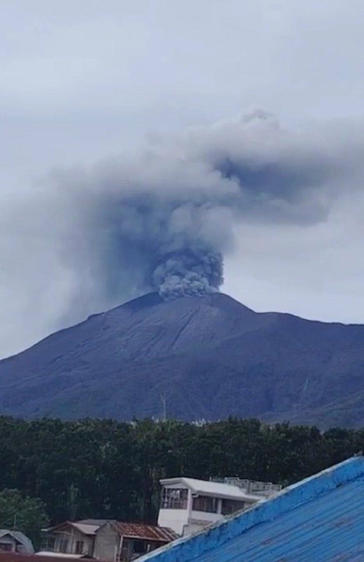 LOS HÁBITOS DEL CERBERO DEL CLIMA