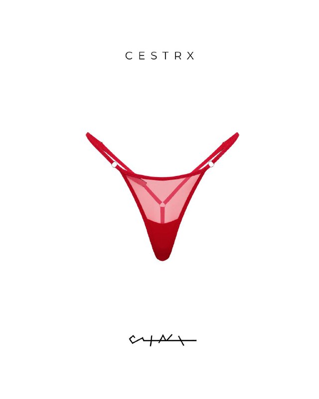 CESTRX Talks