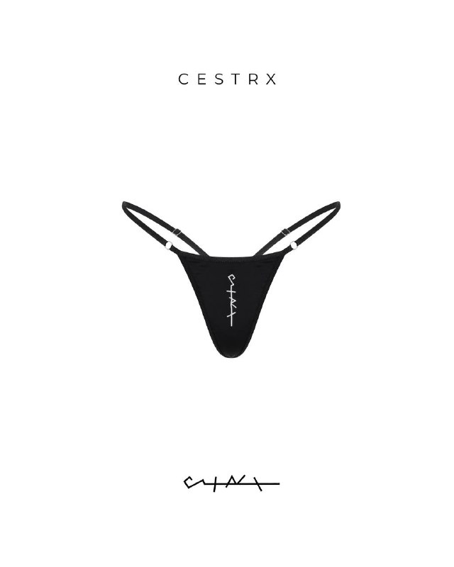 CESTRX Talks