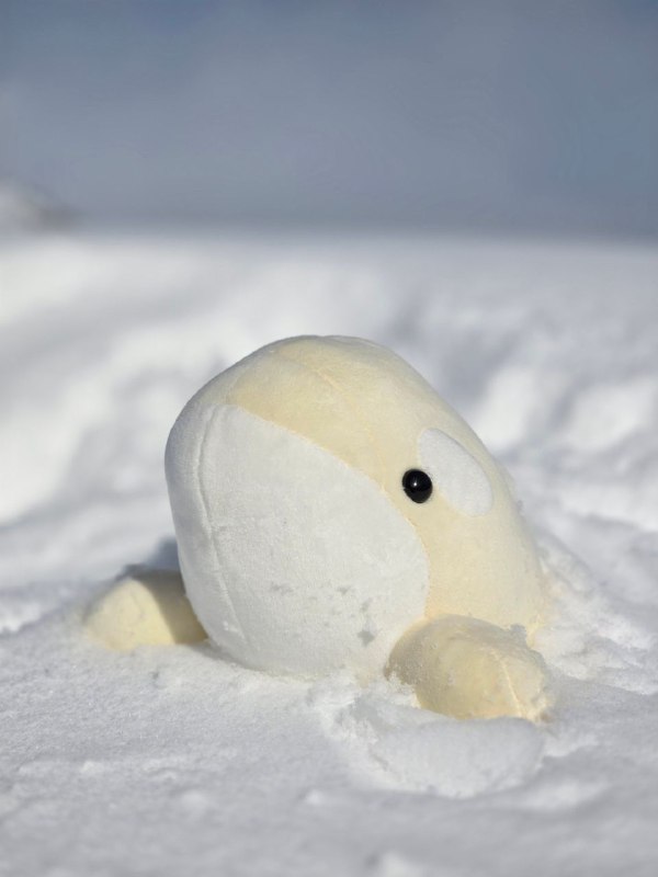 Bwee plush in snow, to brighten …