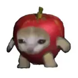 ***🦎*** Apple Cat