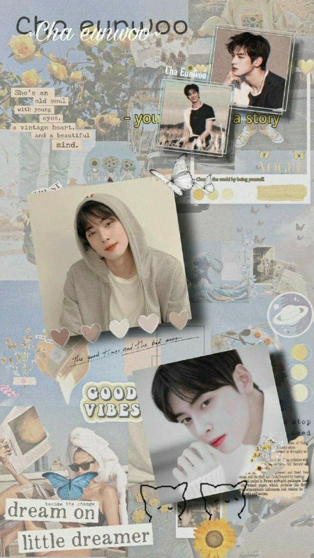 CHA EUN WOO DAILY