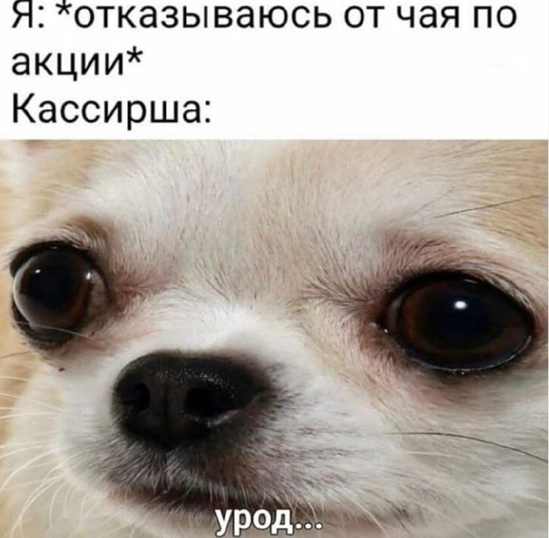 чайный пакетик