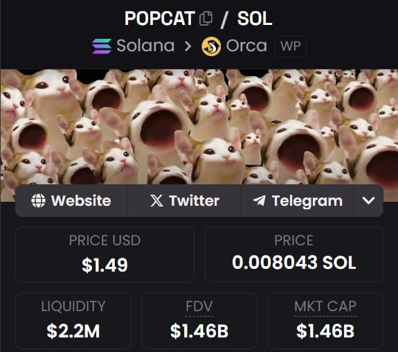 I begged u to buy $POPCAT …