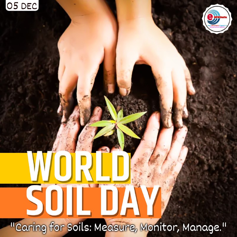 World Soil Day