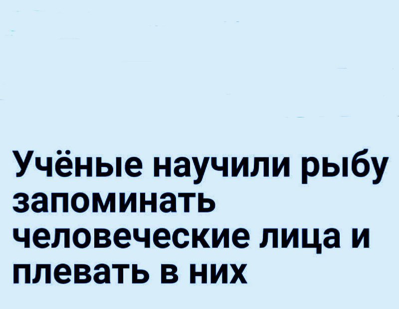 отличные новости, всем хорошего вторника и …