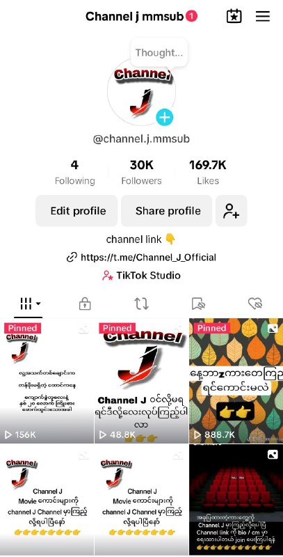 TikTok followers 30K thank you ***💜***