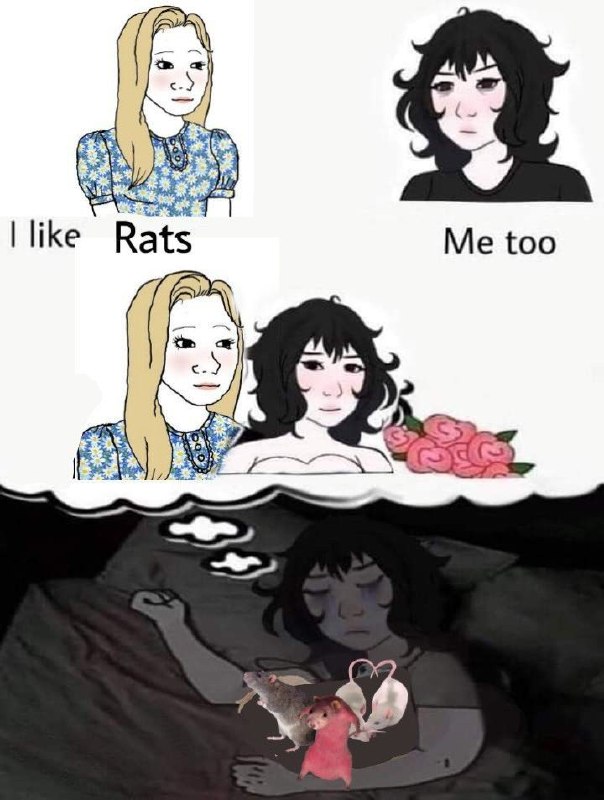 Pongo