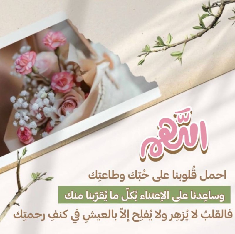 🍃اعمل شيئاً للإسلام 🍃