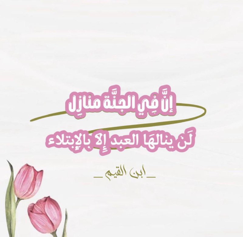 🍃اعمل شيئاً للإسلام 🍃