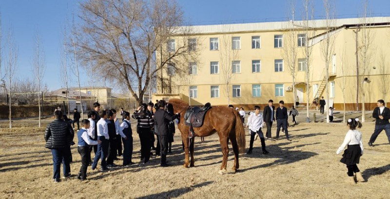 CHAVANDOZLAR MAKTABLARI