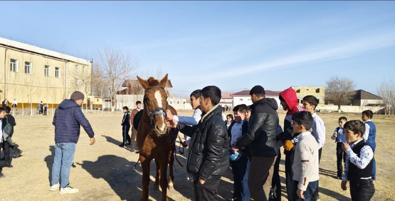 CHAVANDOZLAR MAKTABLARI