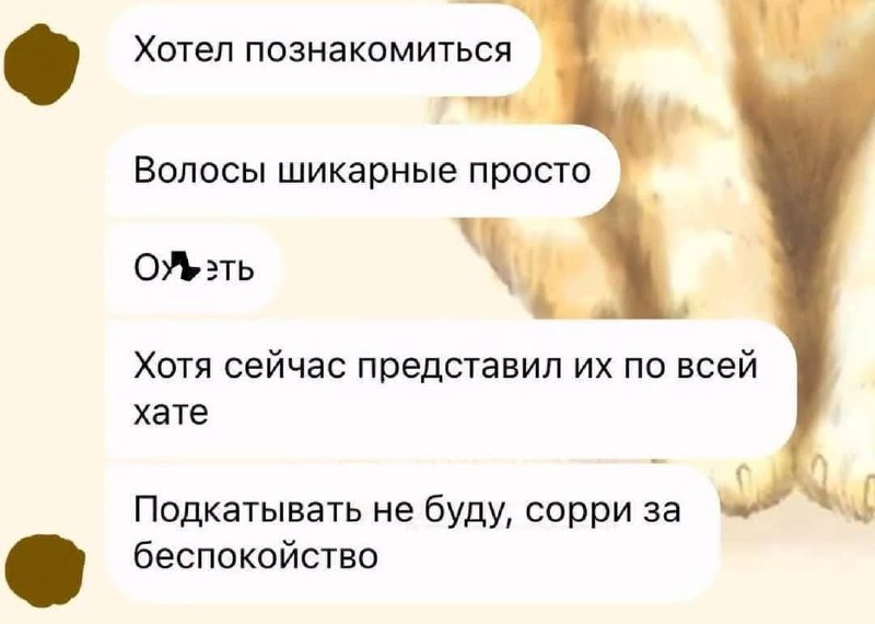 Сорри