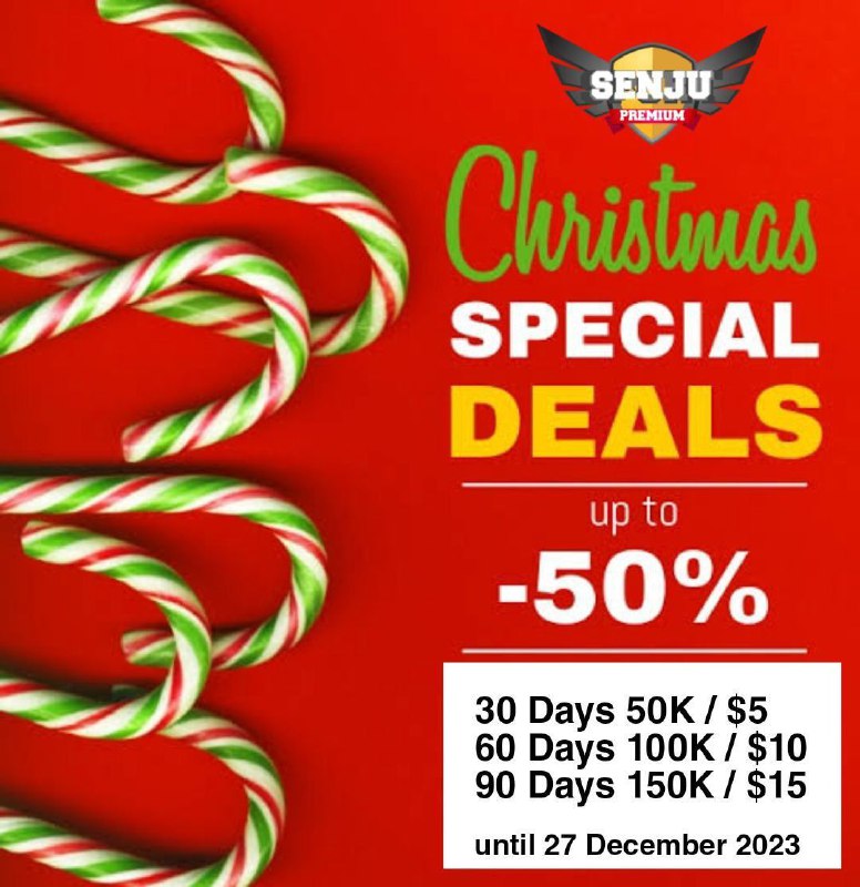 Promo Discount Christmas