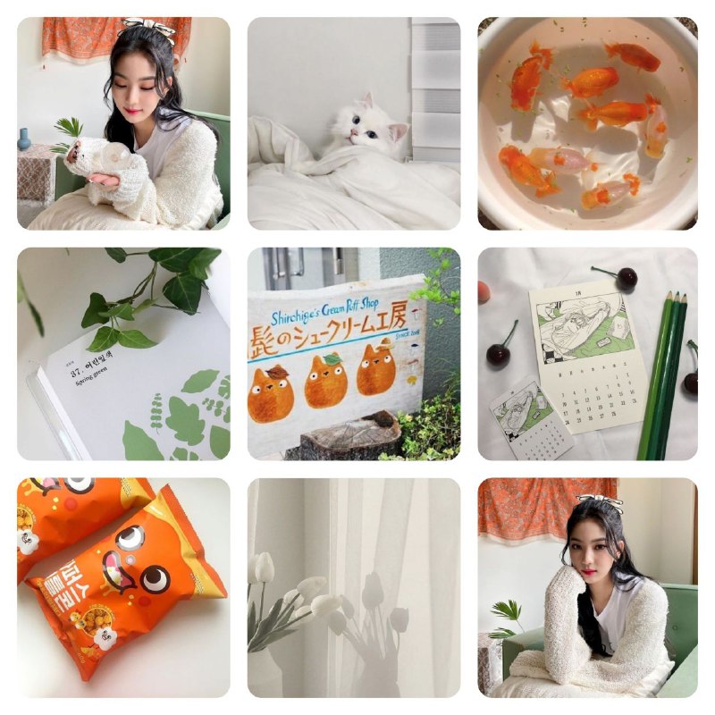 `ㅤㅤㅤㅤ Version : Orange Isa