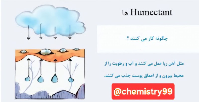 **مقایسه هومکتانت با امولینت و اکلسیو …