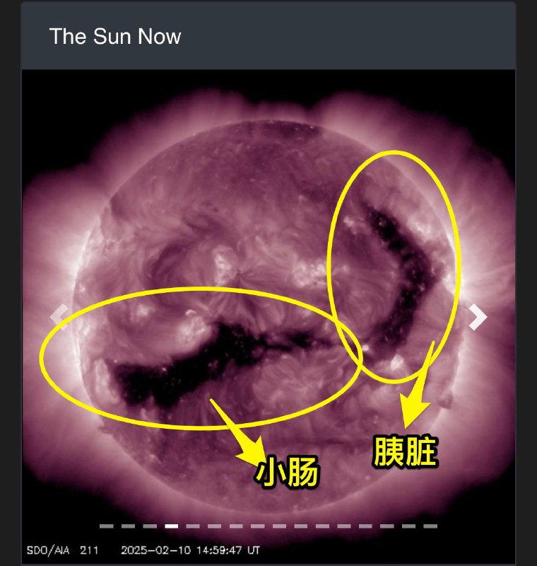 ***☀️***2025年2月10日