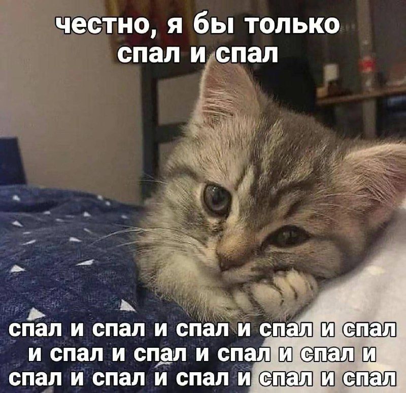 Это мы с соседкой на постоянной …