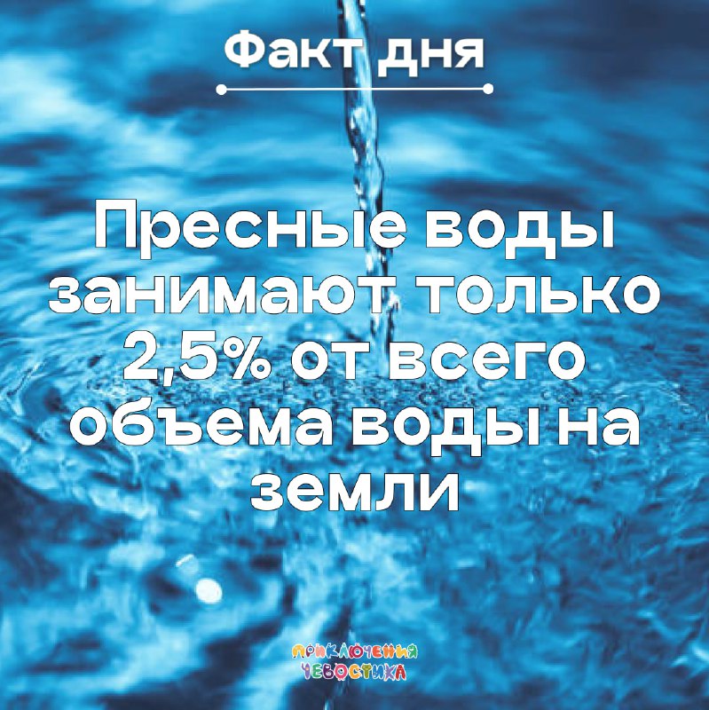 **Вы знали, что около 71% поверхности …