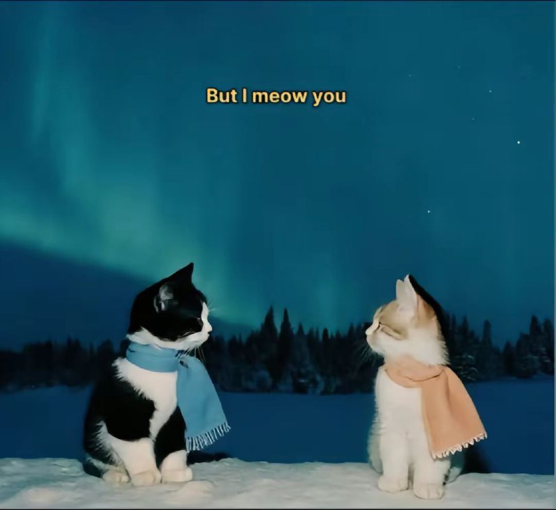 котеночек носиком клюет