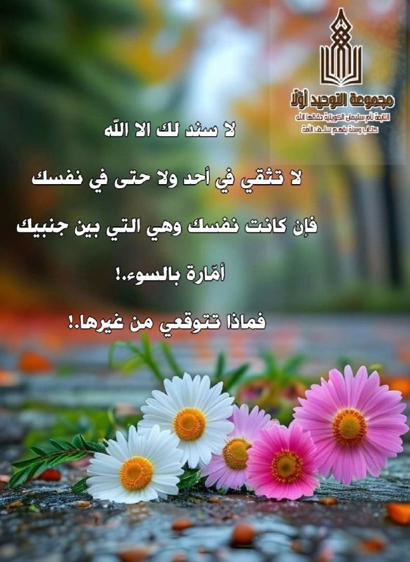 🌸شِبْلَةُ العَقِيدَة السَلَفِيَةُ 🌸
